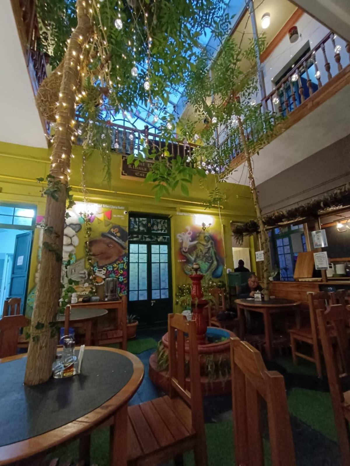 Saint Peter'S Llama Hostal La Paz Eksteriør billede